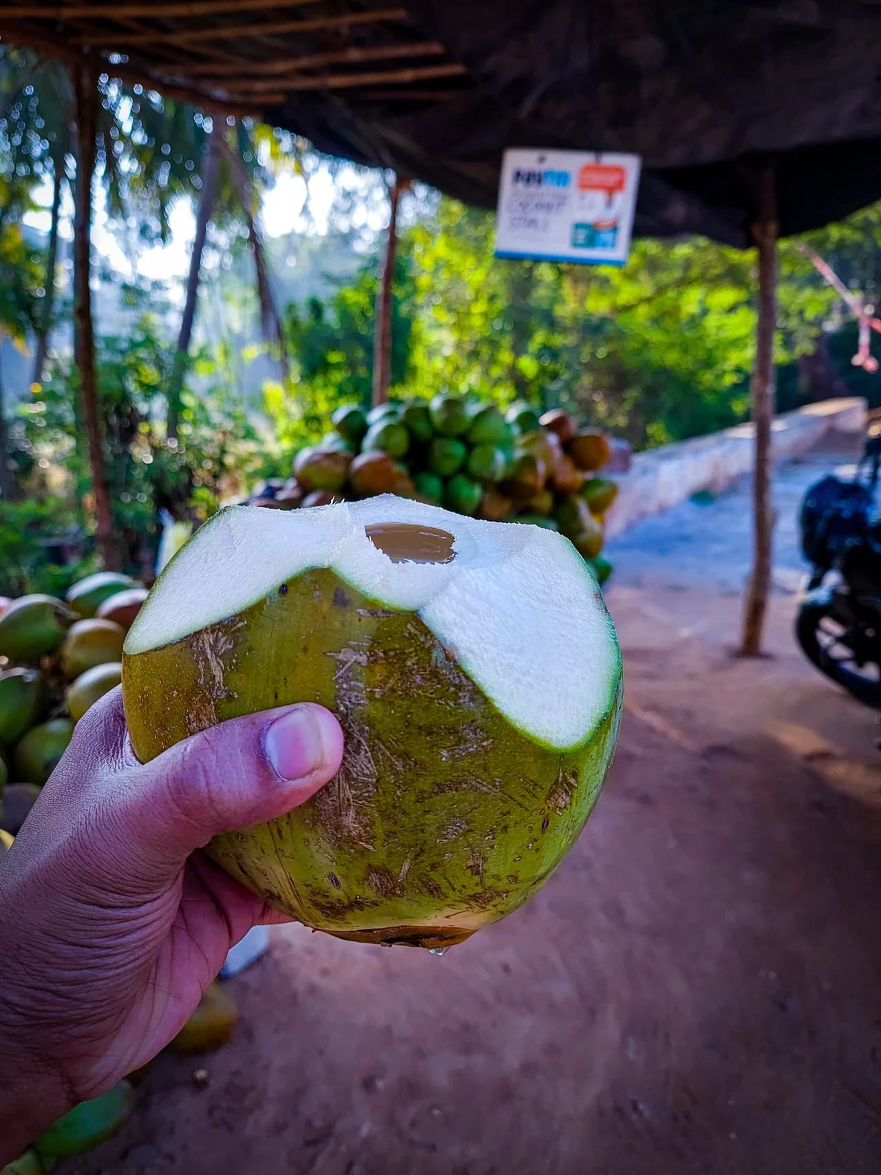 Post-Workout Coconut Hydration