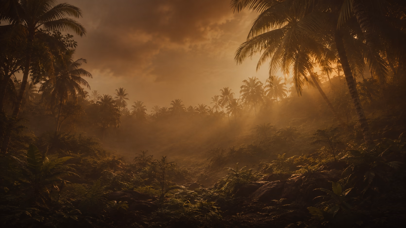 A coconut farm illuminated by warm morning light